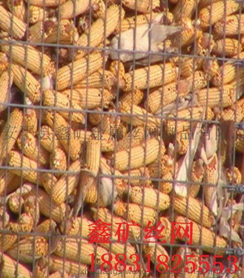 圈玉米网, 圈棒子网, 电焊玉米网, 玉米网厂